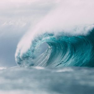 Suivi et calcul du biorythme