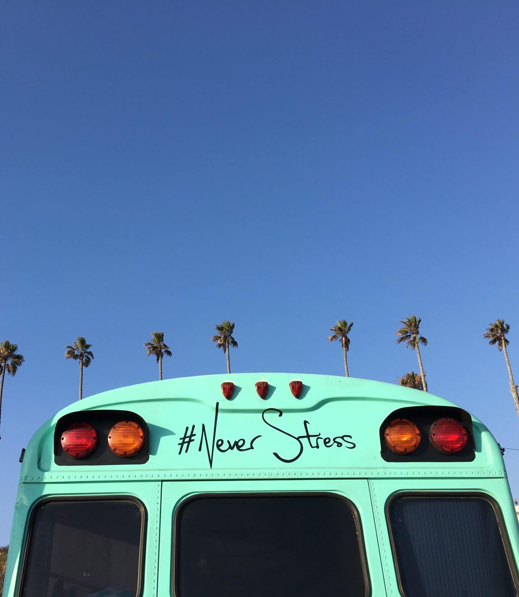 Un bus turquoise avec des palmiers dessus est le remède parfait pour combattre son stress.