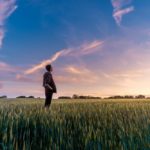 Un homme en rêve lucide se tient dans un champ de blé au coucher du soleil.