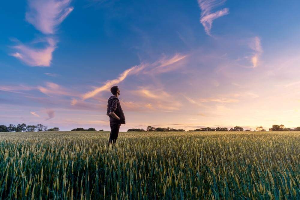 Un homme en rêve lucide se tient dans un champ de blé au coucher du soleil.