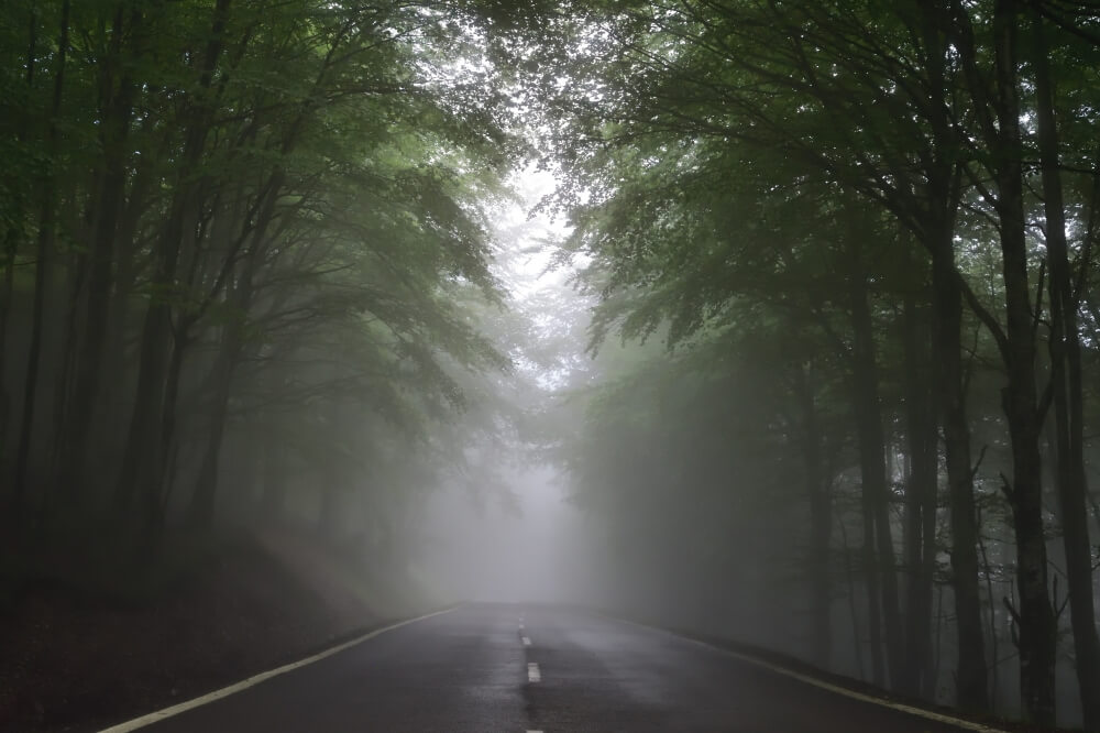 Une route brumeuse serpentant à travers une forêt brumeuse.