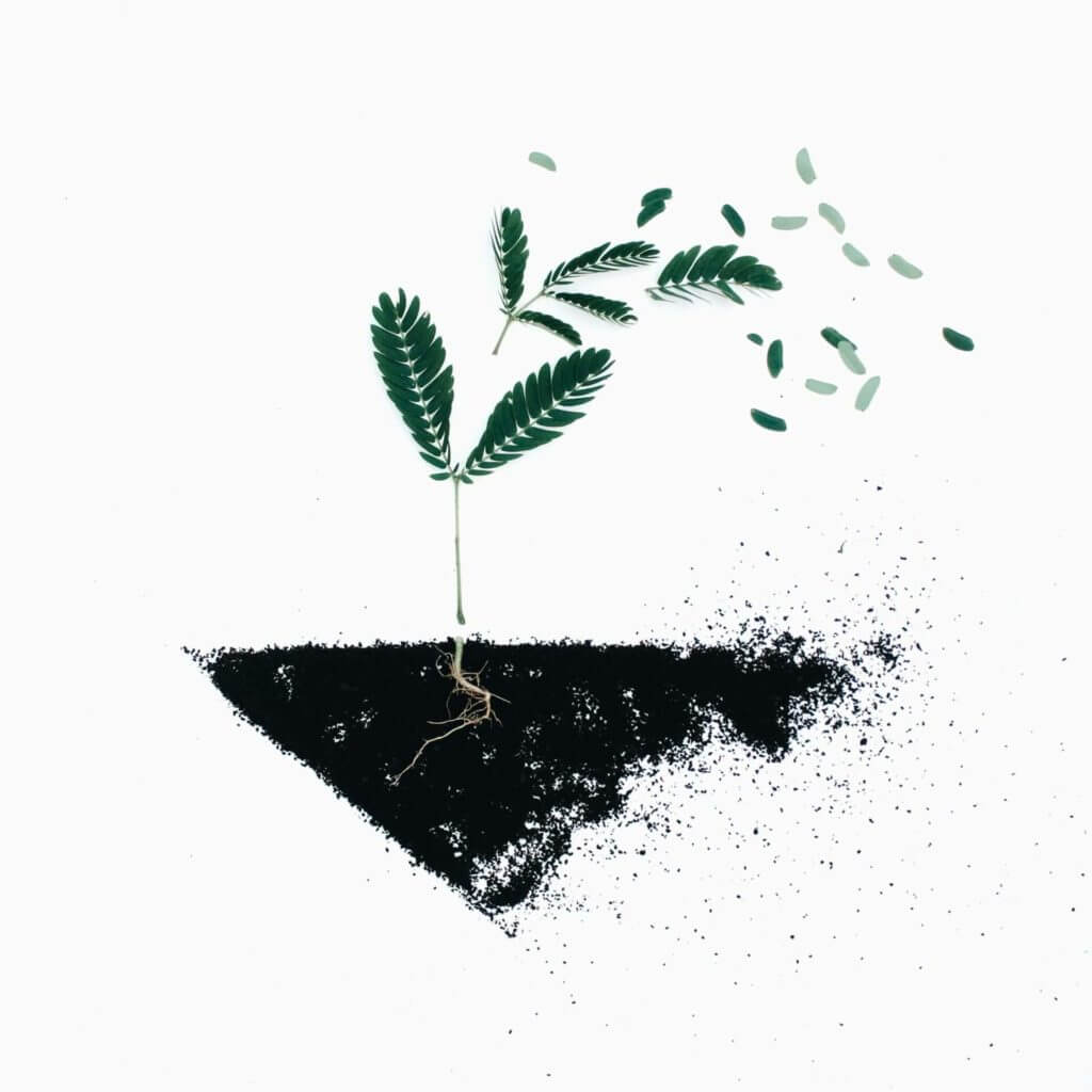 Une illustration d'une plante poussant hors d'un trou dans le sol.