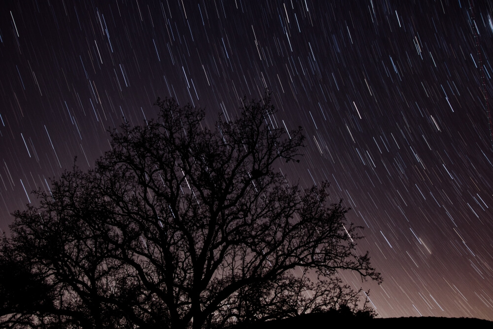 Rêve lucide de traînées d'étoiles au-dessus d'un arbre dans le ciel nocturne.